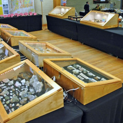 Gem show display area Gem show display area